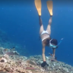 Snorkeling Video