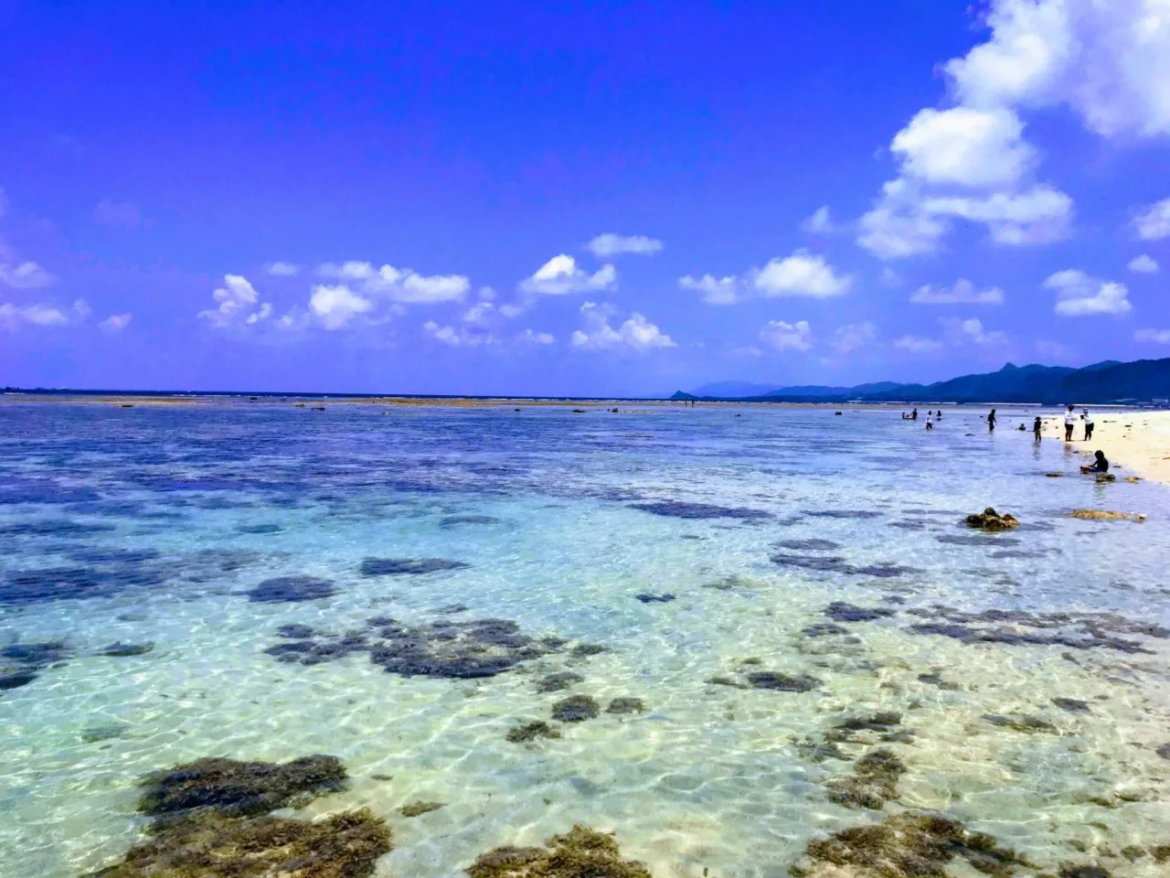 青の洞窟 米原ビーチをアウトリーフで 米原クラブ 石垣島