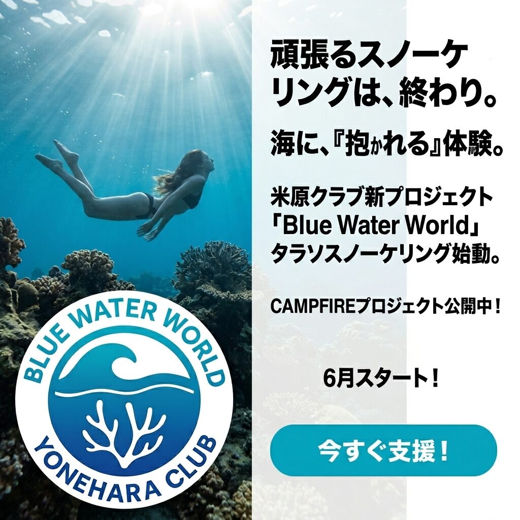 頑張るスノーケリングは、終わり。海に、『抱かれる』体験。"Blue Water World"CAMPFIREプロジェクト公開! 6月スタート!
